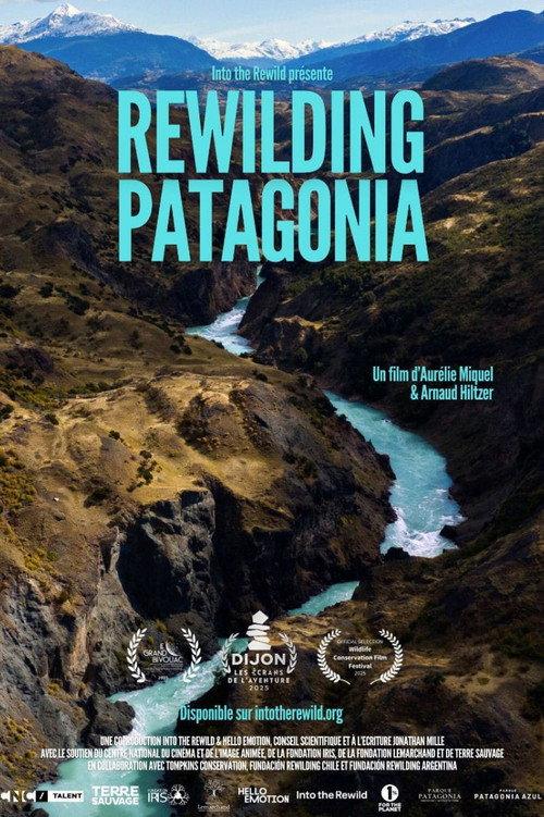 Rewilding Patagonia 2025 official movie poster