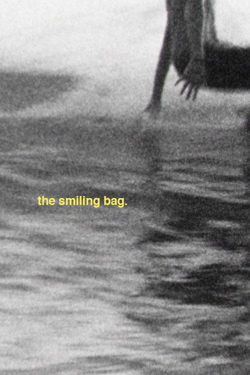 the smiling bag 2016 official movie poster
