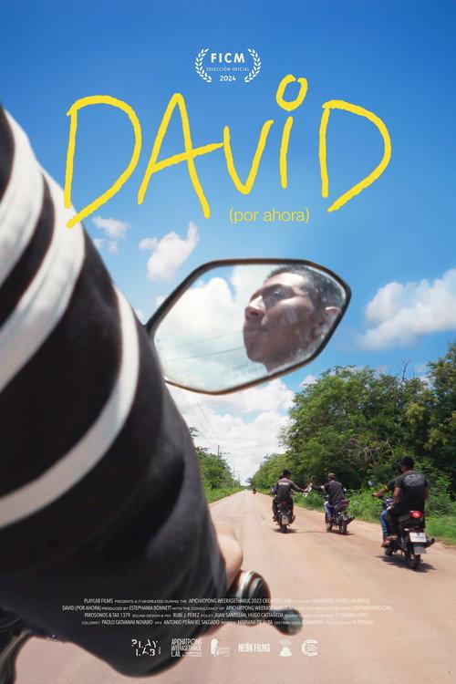 David (For Now) 2024 official movie poster