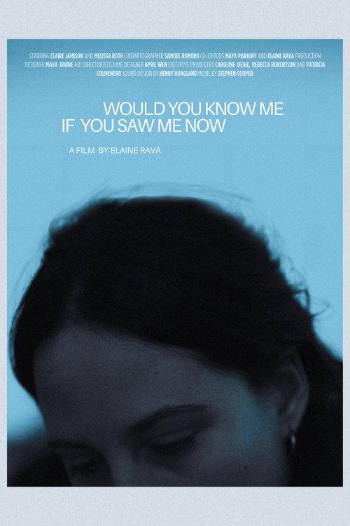 Would You Know Me If You Saw Me Now 2024 official movie poster
