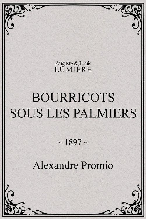 Bourricots sous les palmiers 1897 official movie poster
