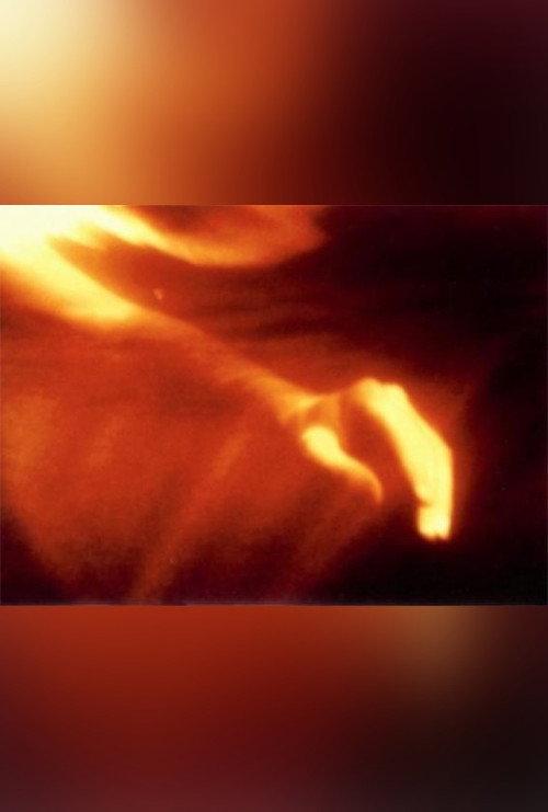 Fire Birth 2002 official movie poster