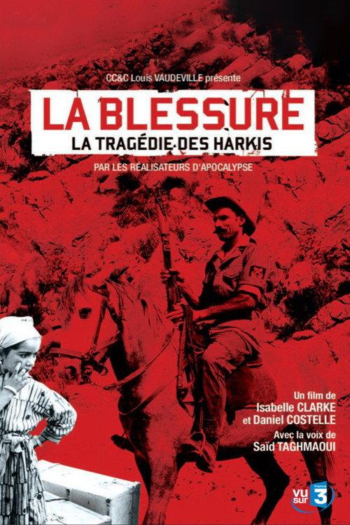 An Unhealed Wound - The Harkis in the Algerian War 2010 official movie poster
