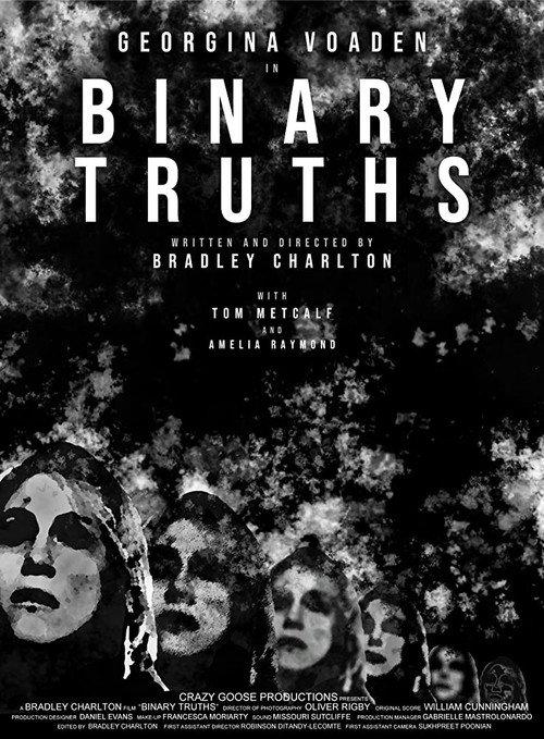 Binary Truths 2020 official movie poster
