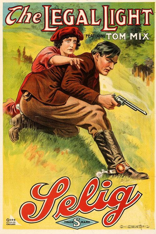 The Legal Light 1915 official movie poster