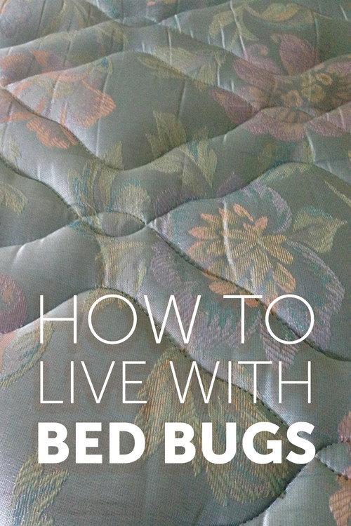 How to Live with Bed Bugs 2013 official movie poster