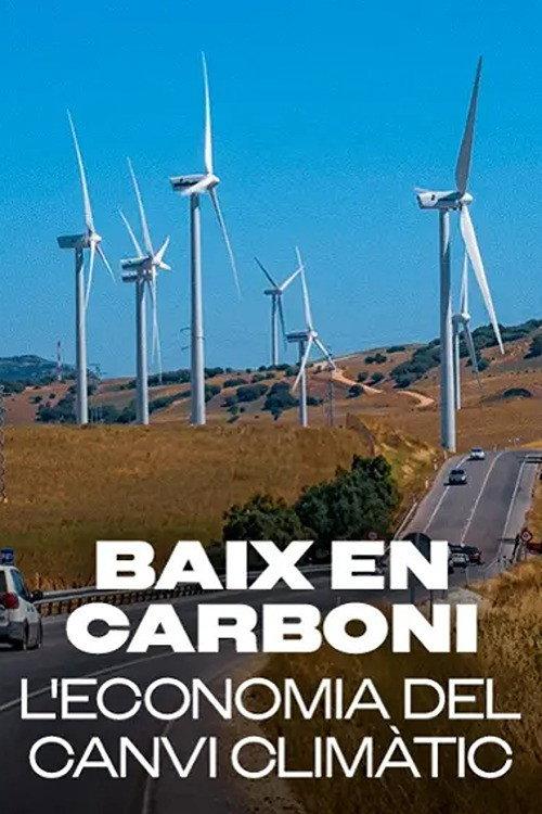 Baix en carboni: l'economia del canvi climàtic 2009 official movie poster
