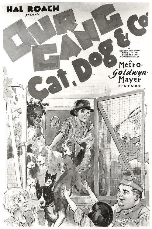 Cat, Dog & Co. 1929 official movie poster