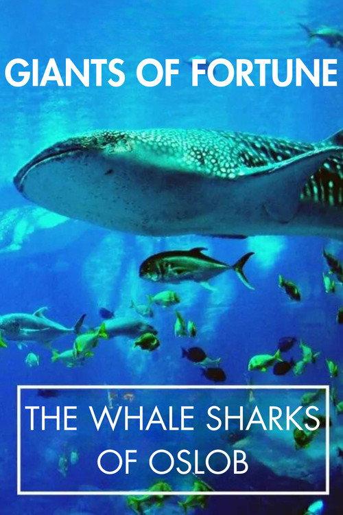 Giants of Fortune: The Whale Sharks of Oslob 2014 official movie poster