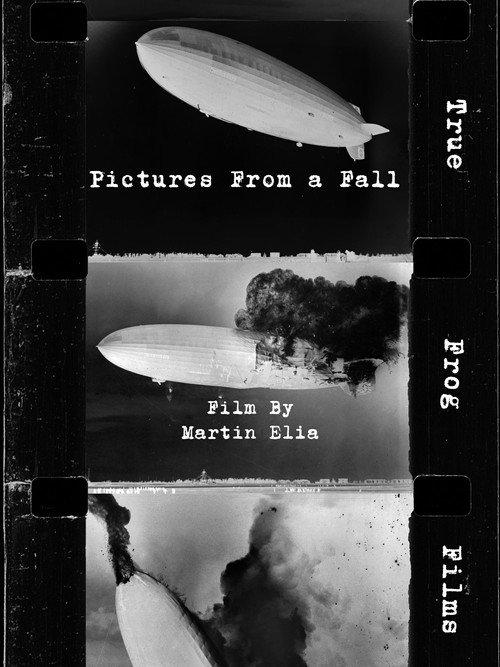 Pictures From a Fall 2024 official movie poster