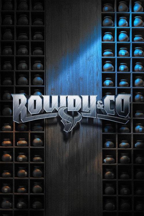 Rowdy & Co official movie poster