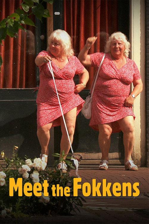 Meet the Fokkens 2011 official movie poster