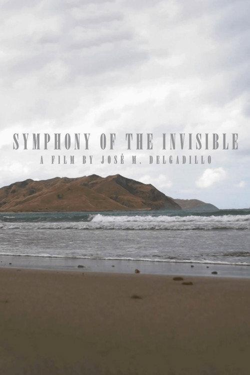 Symphony Of The Invisible 2020 official movie poster