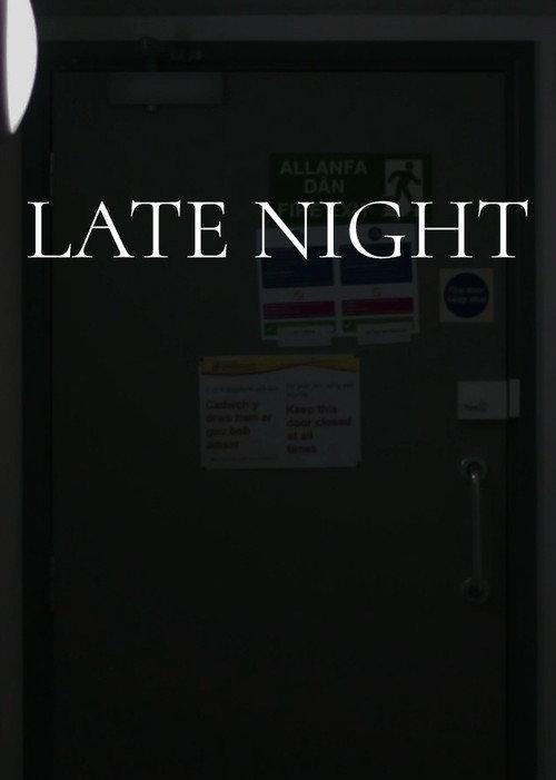 Late Night 2021 official movie poster