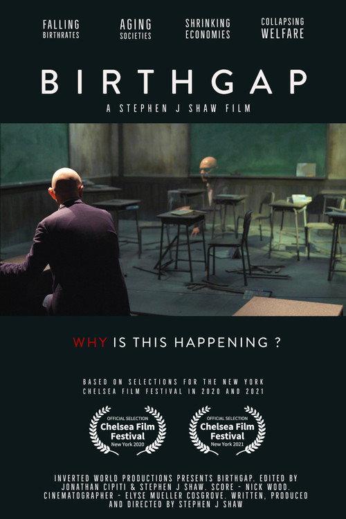 Birthgap - Childless World 2023 official movie poster