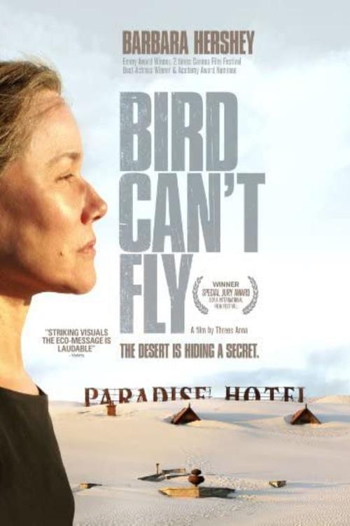 The Bird Can't Fly 2008 official movie poster