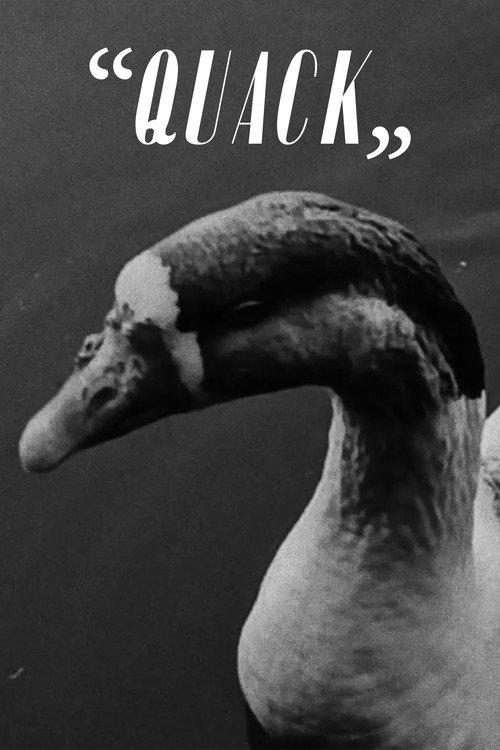 “Quack” 2023 official movie poster