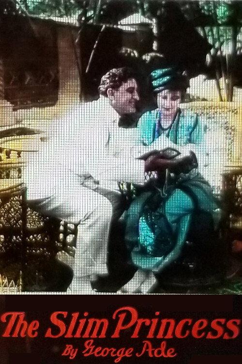 The Slim Princess 1915 official movie poster