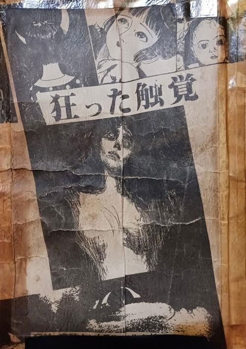 Distorted Sense of Touch 1985 official movie poster