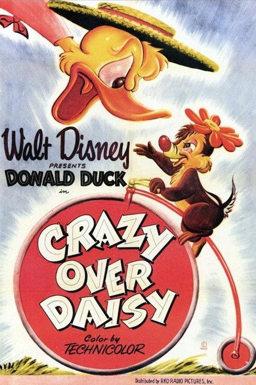 Crazy Over Daisy 1950 official movie poster