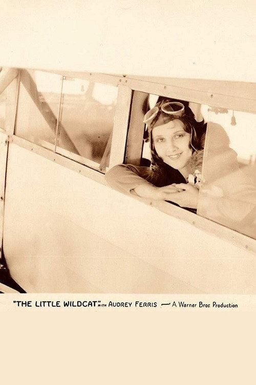 The Little Wildcat 1928 official movie poster