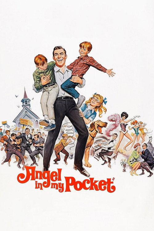 Angel in My Pocket 1969 official movie poster