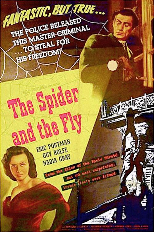 The Spider and the Fly 1949 official movie poster