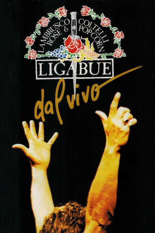 Ligabue Dal Vivo 1991 official movie poster