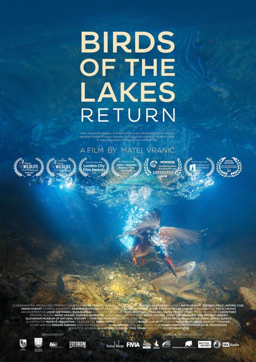 Birds of the Lakes Return 2018 official movie poster