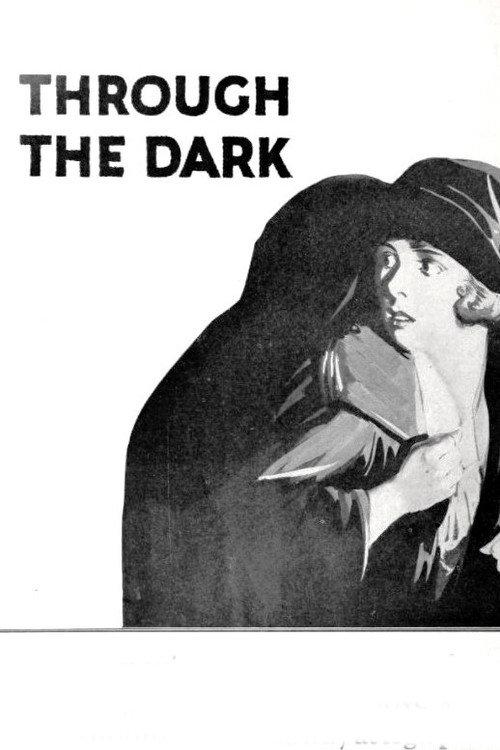 Through the Dark 1924 official movie poster