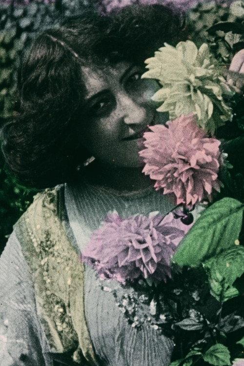 Culture of the Dahlia 1911 official movie poster