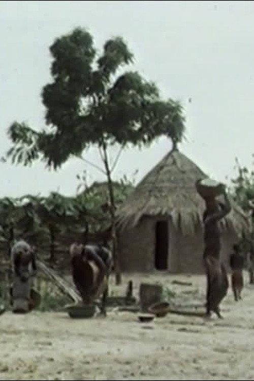 Subsister en savane 1987 official movie poster