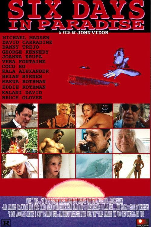 Six Days in Paradise 2010 official movie poster