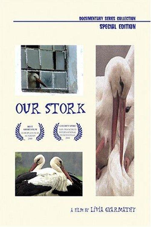 Our Stork 2000 official movie poster