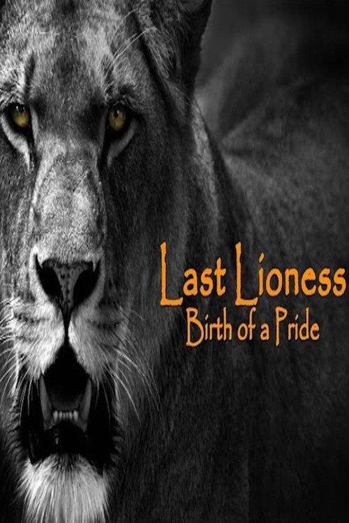 The Last Lioness: Birth of a Pride 2013 official movie poster