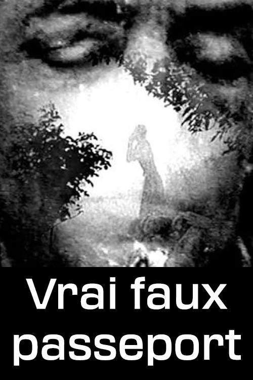 Vrai faux passeport 2006 official movie poster