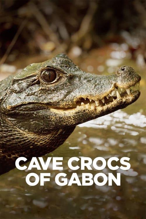 Cave Crocs of Gabon 2018 official movie poster