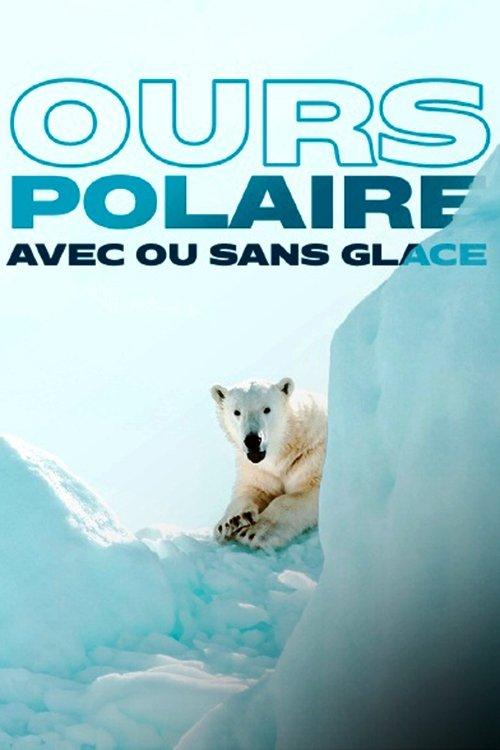 Face to Face with the Polar Bear 2005 official movie poster