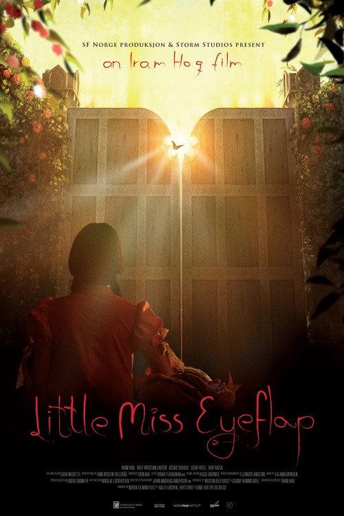 Little Miss Eyeflap 2009 official movie poster