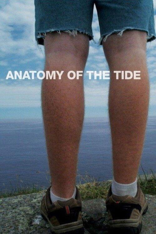 Anatomy of the Tide 2013 official movie poster