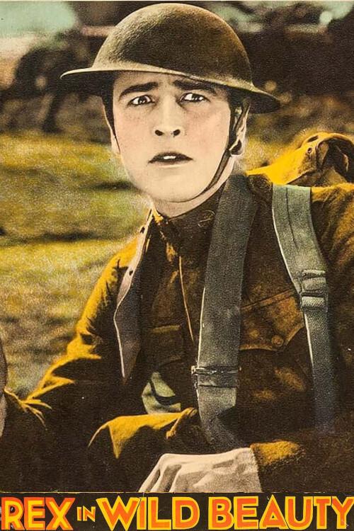Wild Beauty 1927 official movie poster