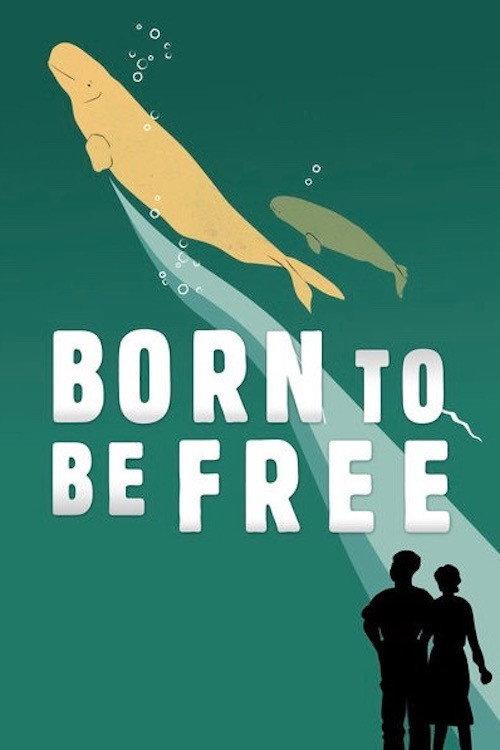 Born to Be Free 2017 official movie poster