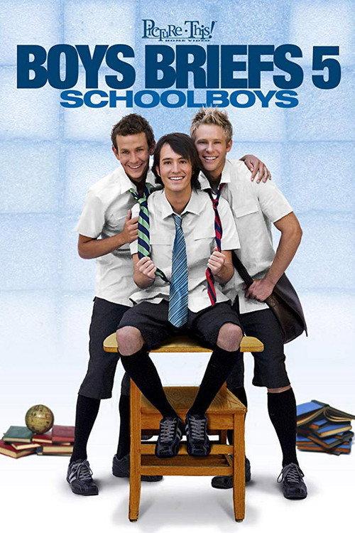 Boys Briefs 5: Schoolboys 2008 official movie poster