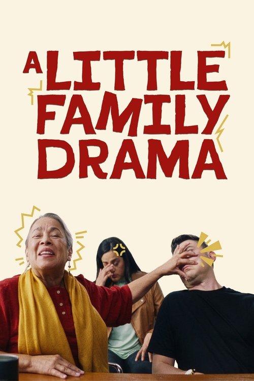 A Little Family Drama 2025 official movie poster