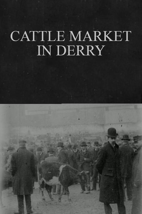 Cattle Market in Derry 1902 official movie poster