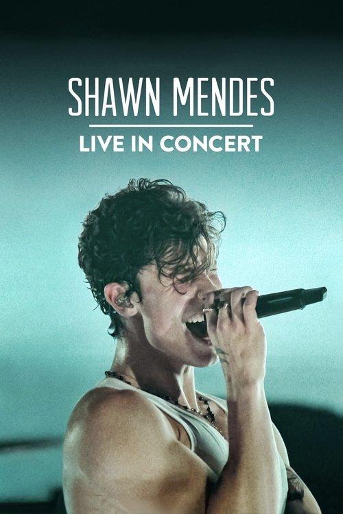 Shawn Mendes: Live in Concert 2020 official movie poster