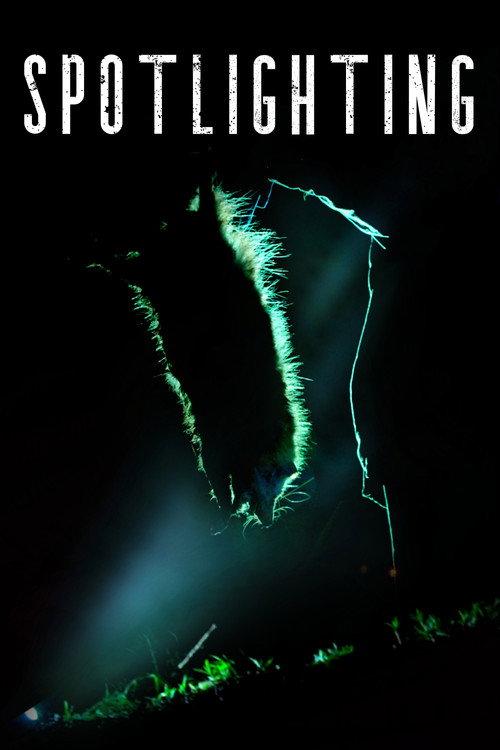 Spotlighting official movie poster