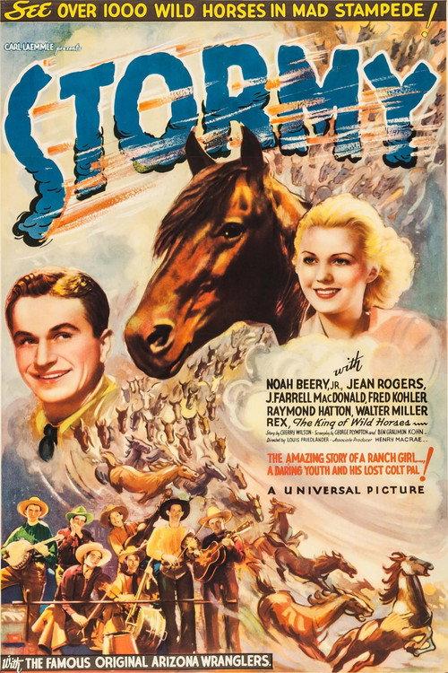 Stormy 1935 official movie poster