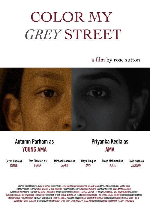 Color My Grey Street 2024 official movie poster