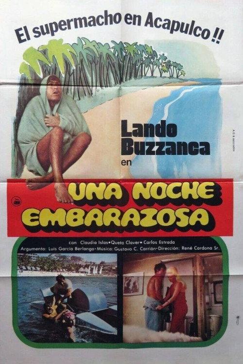 Una noche embarazosa 1977 official movie poster